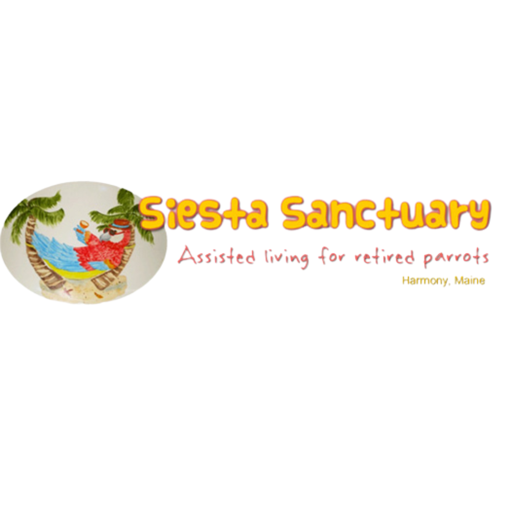 Siesta Sanctuary Rescue Box