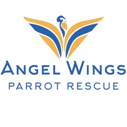 Angel Wings Parrot Rescue Box