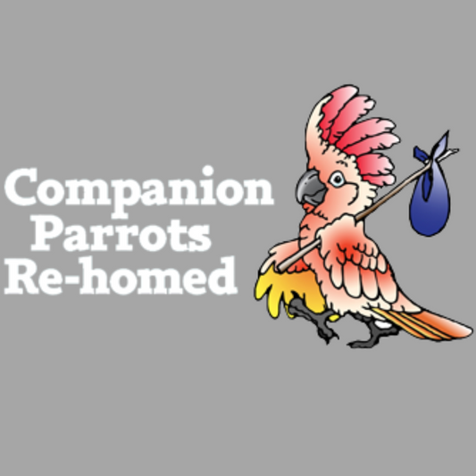 Companion Parrots Re-Home Rescue Box