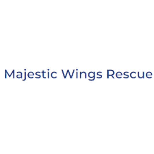 Majestic Wings Rescue Box