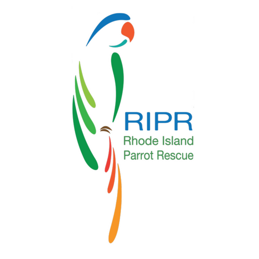 Rhode Island Parrot Rescue Box