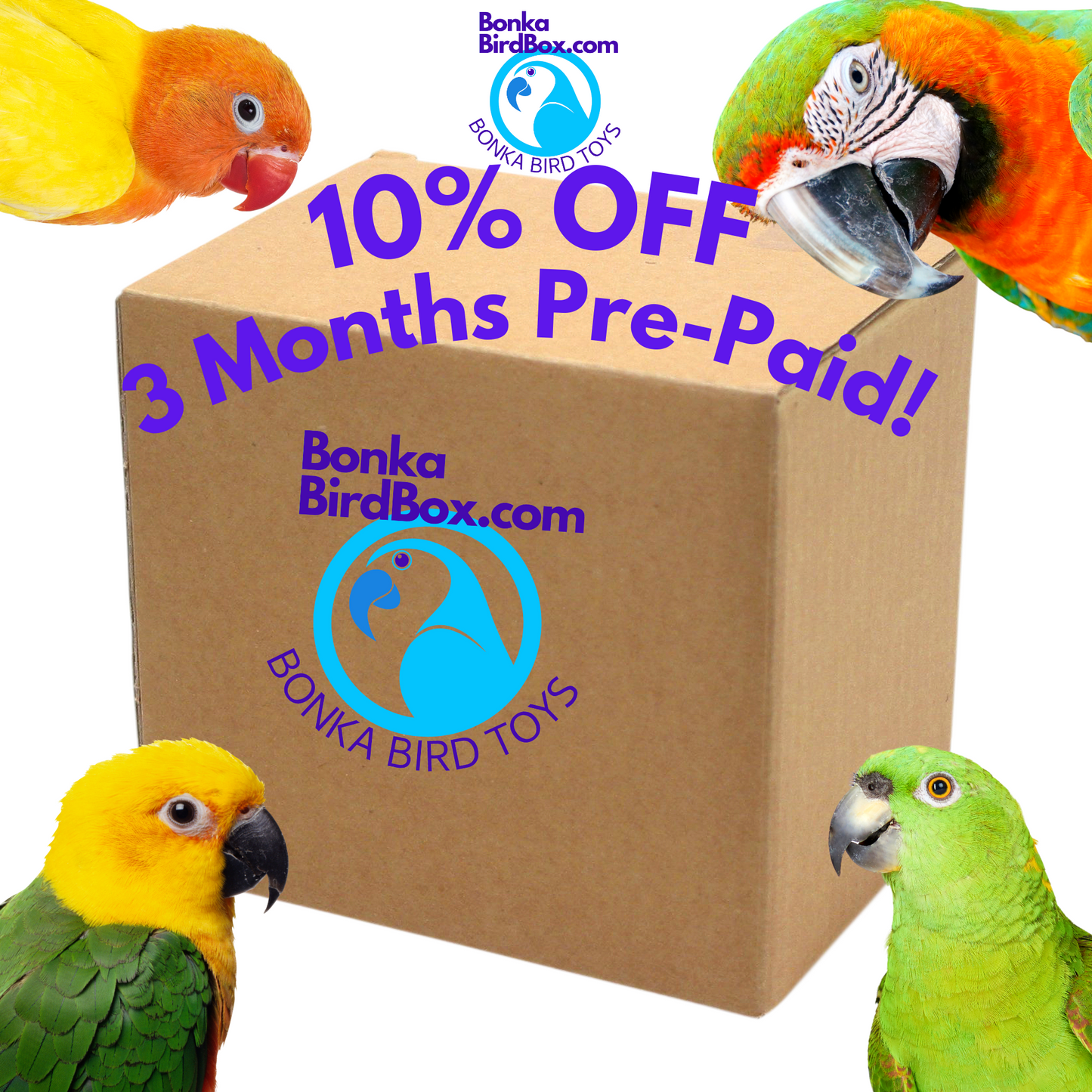 10% OFF - Bonka Boxes Pre-Paid 3 Month - Choose Your Size.