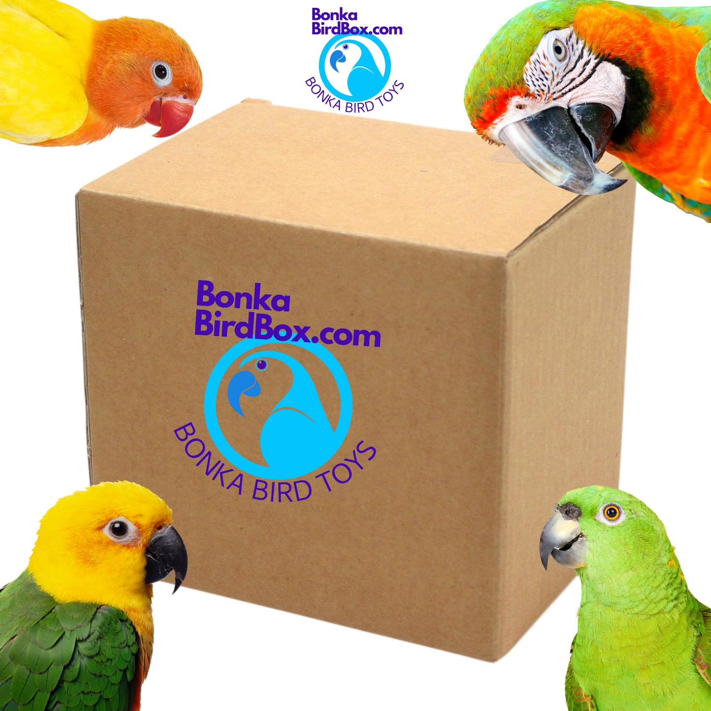 Bonka Bird Box - Small (1 Month)- *Ships on the 8th of every month*